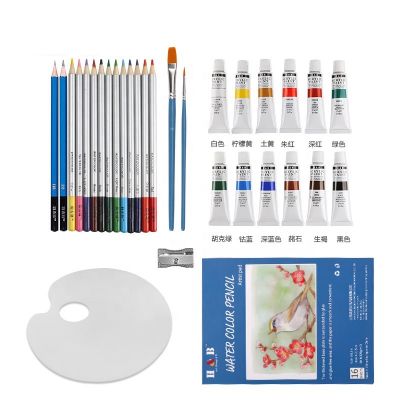 31pcs washable watercolor artist paint brushes set for kids