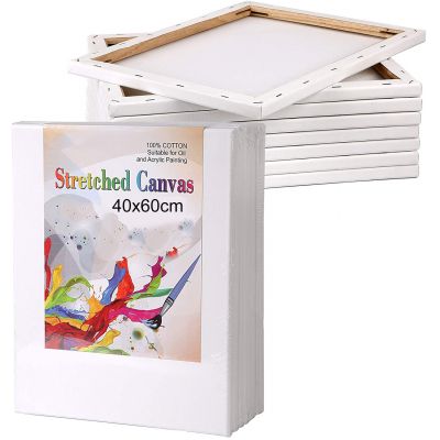 Customized Wholesale White Cotton Artist Blank Stretched Painting Canvases 40x60cm