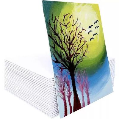 Hot sale 100% cotton mini sizes canvas panel stretched display acrylic canvas boards for artist