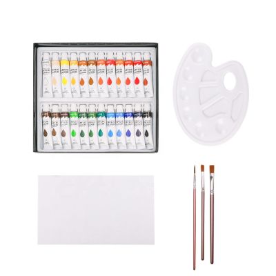24 Colors Acrylic Paints Set Include 3 Brushes 1 Palette & 1 Canvas for Fabrics Painting Clothing Pigments Non-toxic Paints 12ml