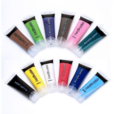 75ml Acrylic 12 Colors Paint Extra Large Tube Artist Painting Set