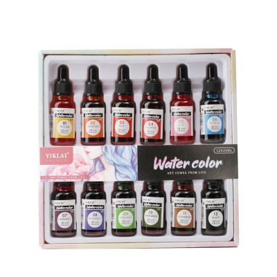 Watercolor Ink Customized 20 ML Water Based Pigment Inks Factory Supply 12 Color Watercolor Ink Paint Set 3000 Sets Non-toxic